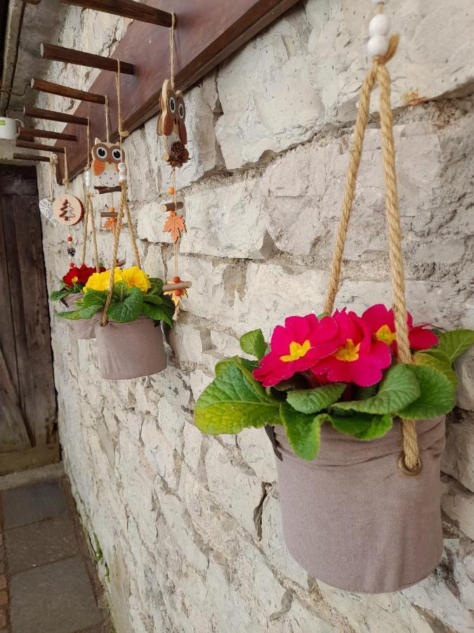 Kalipe Dolomiti Apartment Soffranco Екстериор снимка
